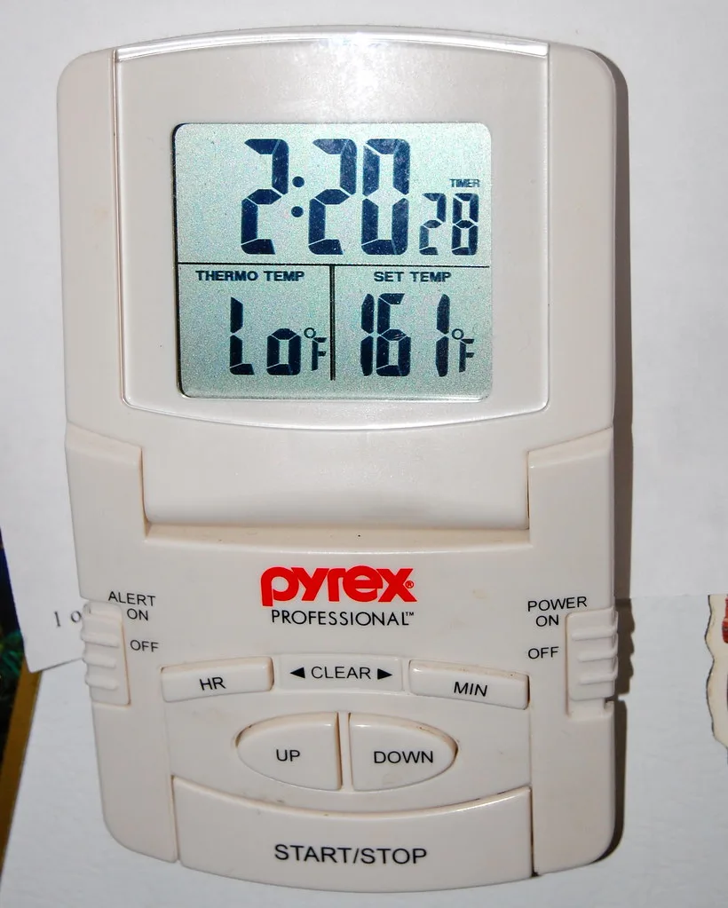 Insteekthermometer voor de bbq: zo werkt een instant-read thermometer