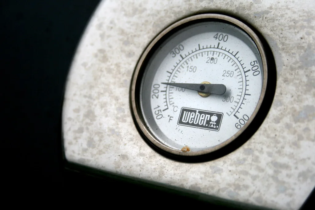 Welk temperatuurbereik heeft u nodig bij een bbq-thermometer